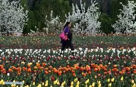 Kashmir spring scenery colorful landscapes
