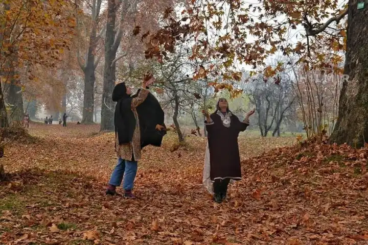 Description Plan your 2025 Kashmir autumn honeymoon with romantic shikara rides and Chinar-lined trails. Book our Autumn Honeymoon Package for intimate escapes!