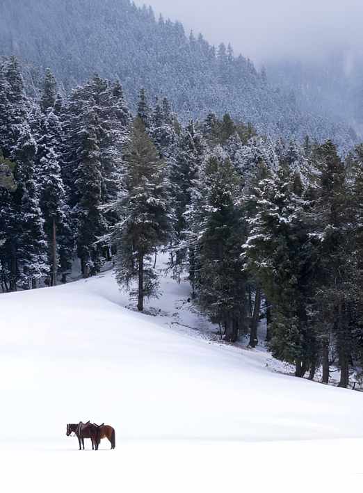 Kashmir romantic tour packages with kashmir nirvana