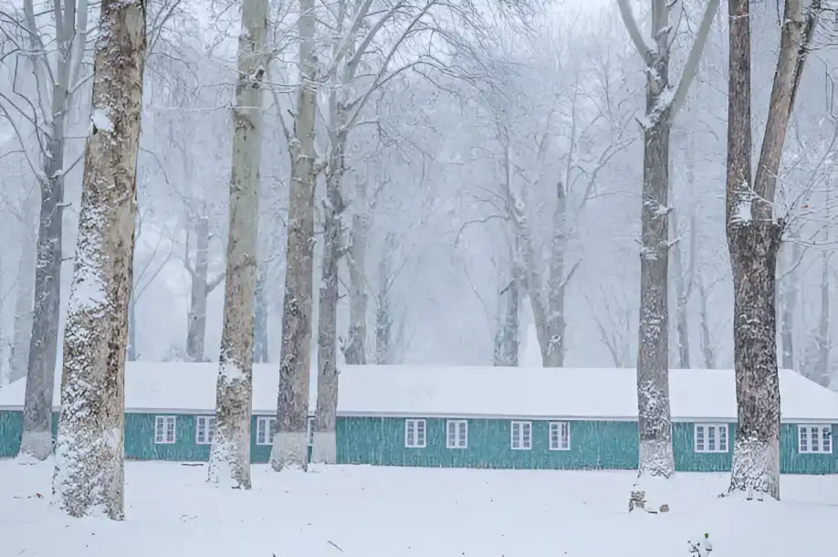 Best-time-to-visit-kashmir-for-snowfall-Best-kashmir-tour-packages-for-snowfall