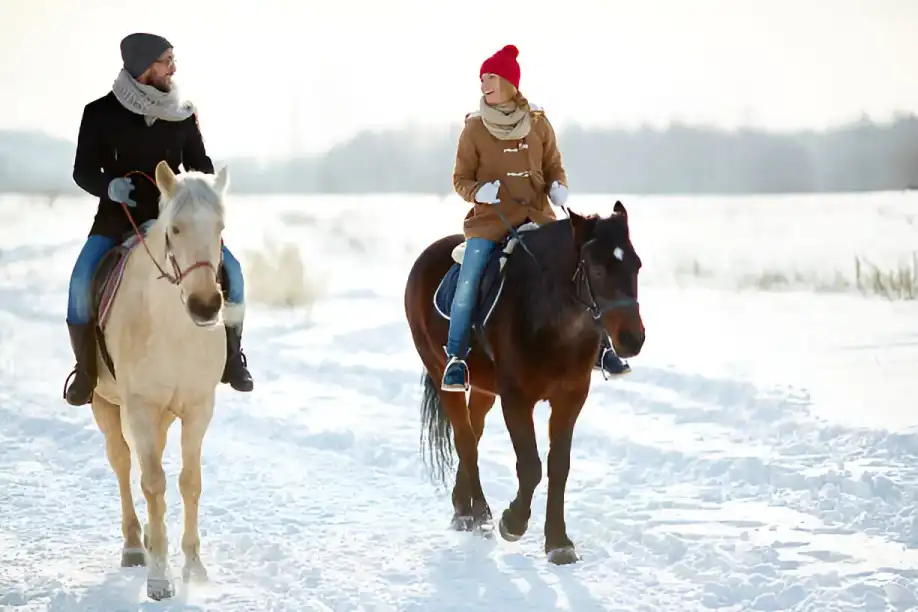 Kashmir-honeymoon-tour-package