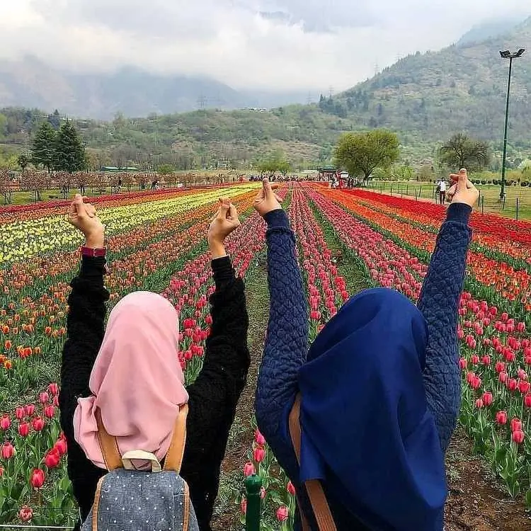 Kashmir Tulip Festival 2026 Kashmir Tulip Festival Tour Package Kashmir Tulip Garden Tour