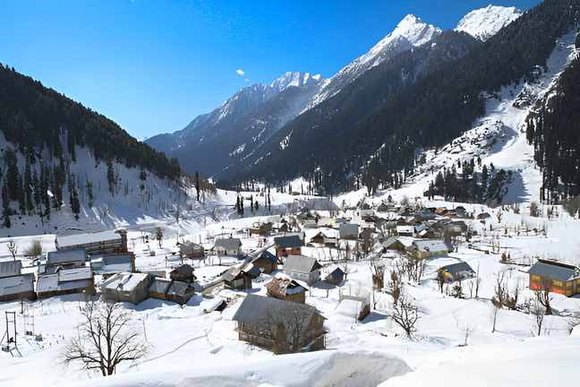 Kashmir tour packages for january