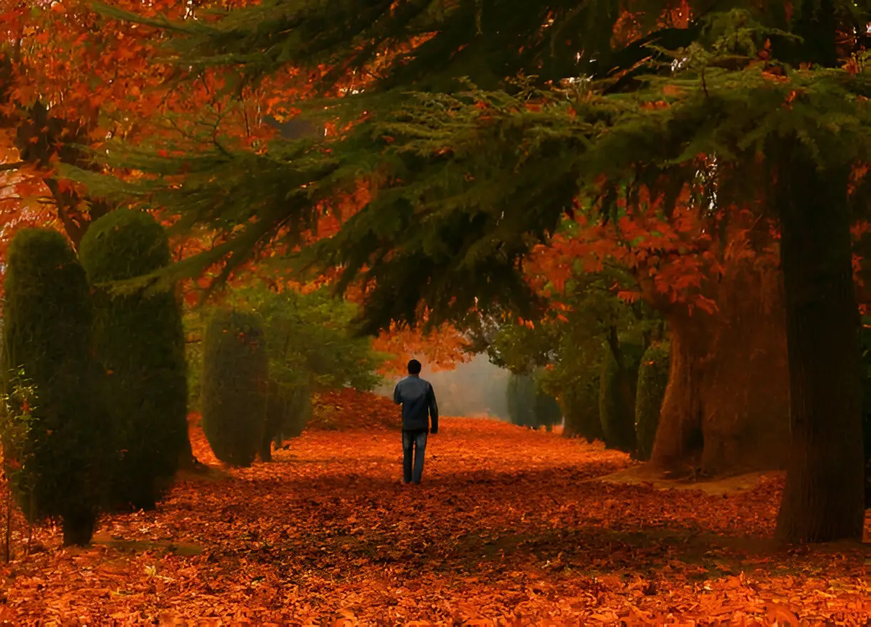 Kashmir in autumn, the kashmir tour package in autum is more like wittnessing the heaven
