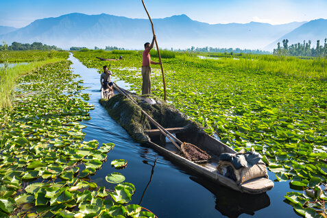 Shikara Ride on dal Lake is one of the most entertaining activity in Kashmir