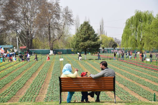 Kashmir springTour Package with Kashmir Nirvana Travel Company