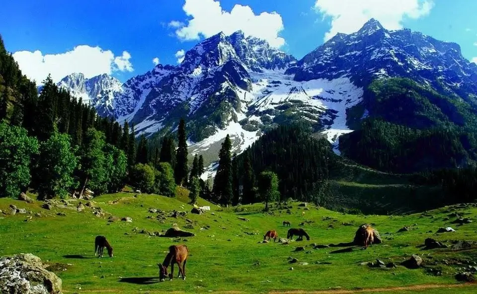 How to Plan a Trip to Kashmir in September 2026 – Complete Budget Guide & Expert Tips