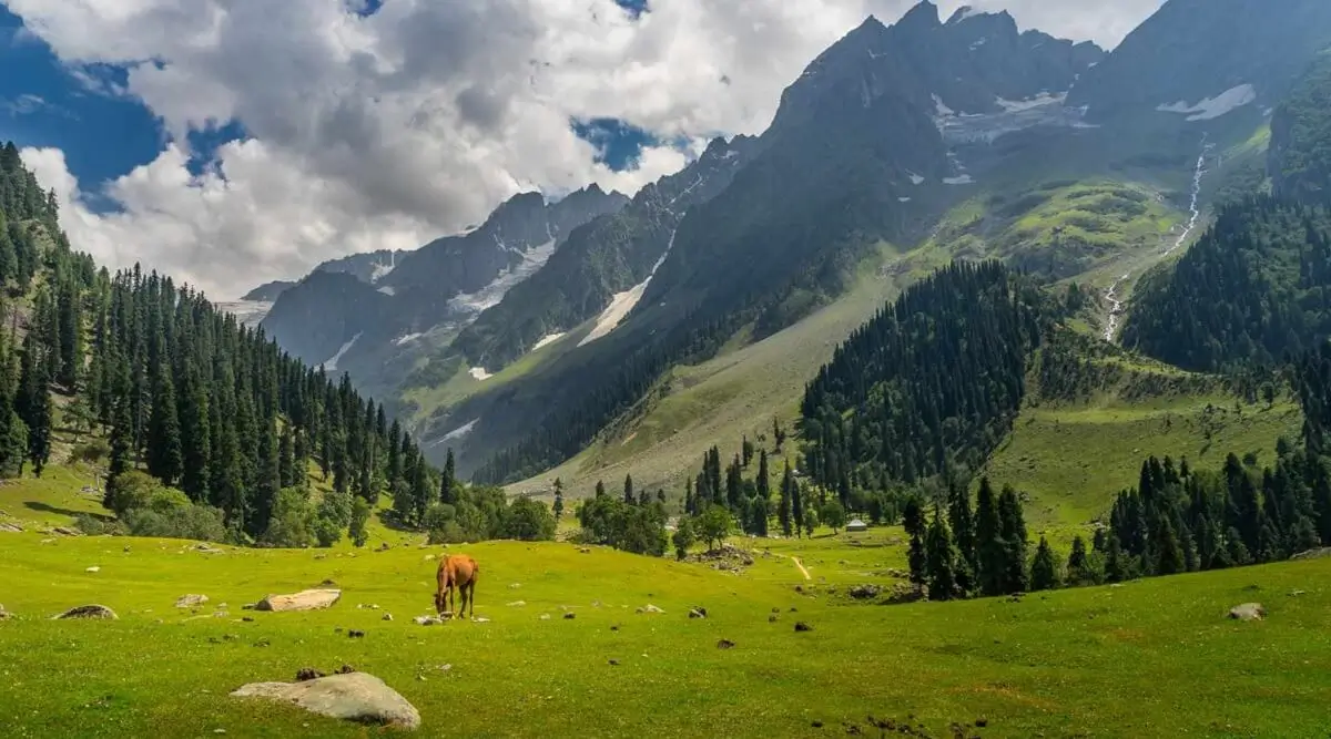 Kashmir-visit-in-june-tour-package