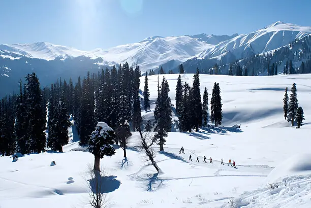 Winter Wonderland in Kashmir: A Complete Guide to Snow Activities & Travel Tips